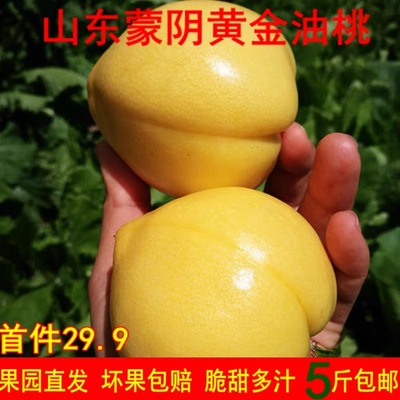 黄金油桃蒙阴蜜桃当季现摘现发新鲜孕妇纯甜无毛油桃5斤整箱包邮