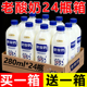 特价 原味老酸奶饮品24瓶 280ml新品 常温老酸奶原味学生早餐营养奶