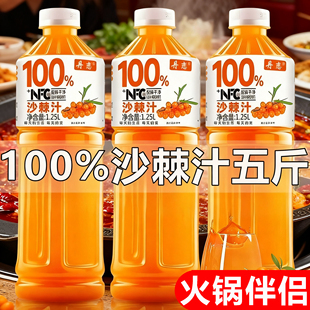 火锅伴侣100%沙棘汁 NFC果汁大瓶无添加原汁原液果汁 满满5斤装