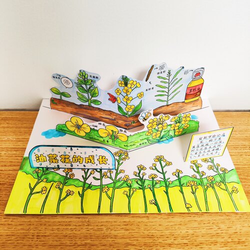 油菜花的成长记录绘本手工手绘活动素材儿童手工DIY涂色手帐立体