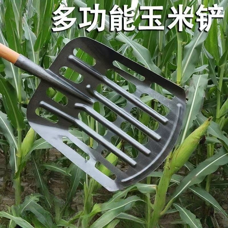 圆头平头锰钢漏眼锹玉米铲农具多用途收玉米专用空心铁锹玉米棒芯,农机/农具/农膜,锹,淘宝优惠券,粉丝福利购,淘宝优惠卷