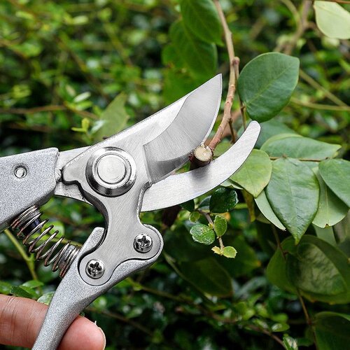 园林园艺剪刀树枝粗枝摘果剪果树家用多功能修枝剪花艺剪工具