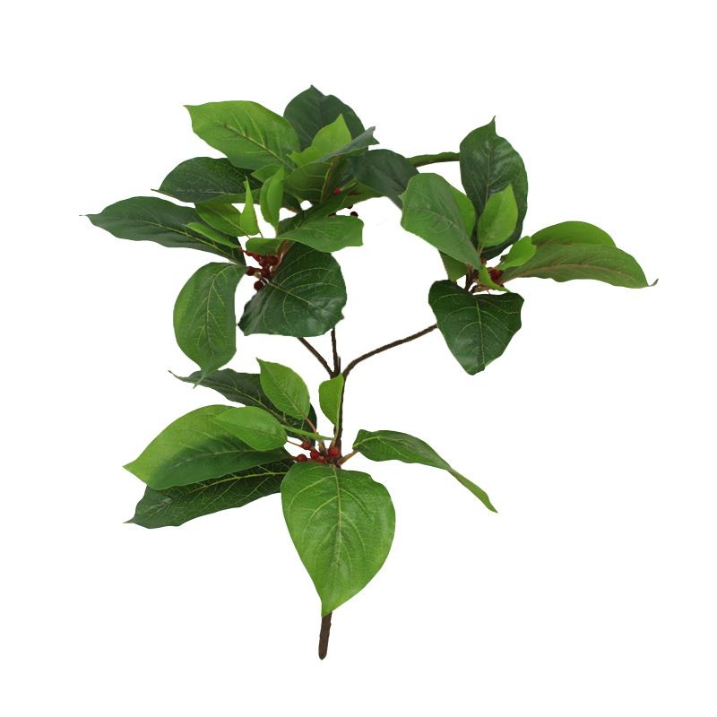 仿真植物香果树香果叶绿植猴欢喜树叶园林装饰工程造景厂家