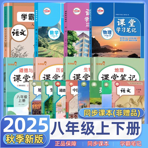 2025秋江苏版八年级上册课堂笔记