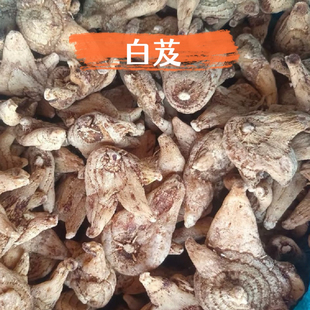 白芨中药材 小白及白鸡白芨片粘稠度高 可免费磨白芨粉白芨面膜粉