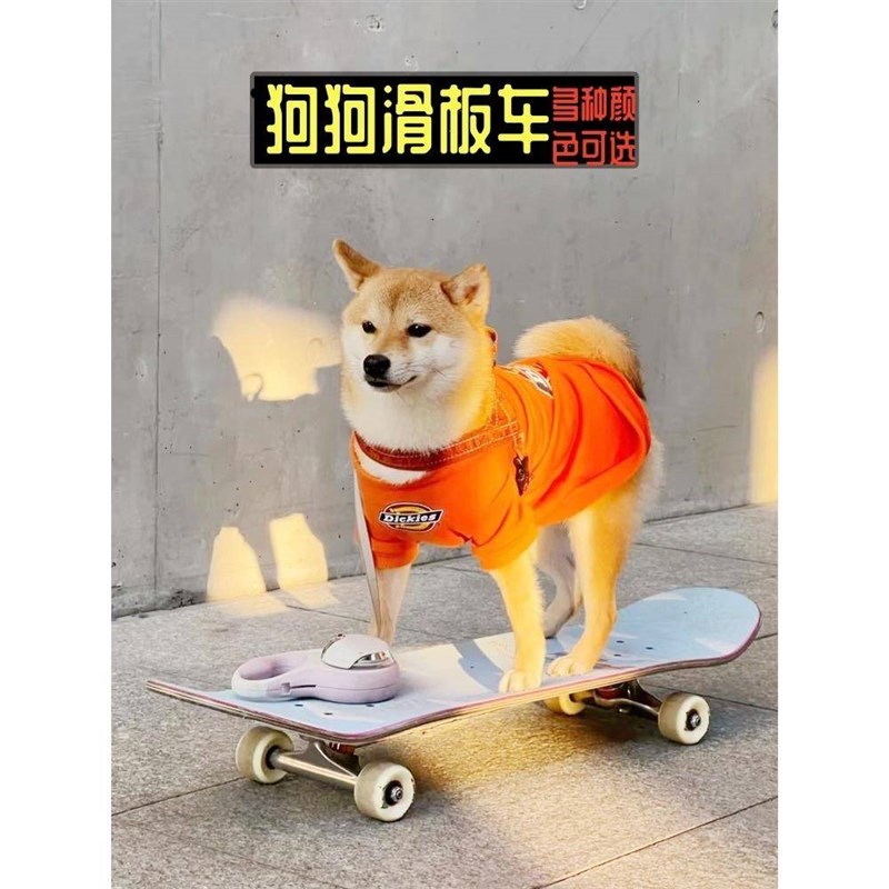 宠物狗滑板车泰迪柯基双翘板滑板车小型玩具法斗专用狗滑板带发光