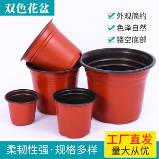 双色花盆培养多肉花卉小花盆PP塑料简易种植加厚育苗盆水稻种植