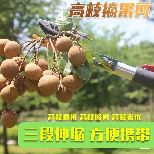 摘果器树枝果树剪刀伸缩高空剪z采果神器摘枇杷多功能高枝剪摘果