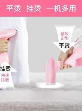 手持挂烫机蒸式汽电熨服斗出家73894用L小型便携宿舍烫衣熨烫机差