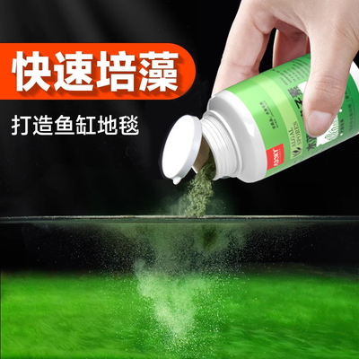 长绒藻绿苔水藻短绒藻孢子绿藻藻种鱼缸爆藻水草植物造景藻石暴藻
