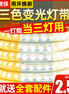 三色变光led灯带家用客厅吊顶变色220IV户外防水氛围超亮软彩灯条