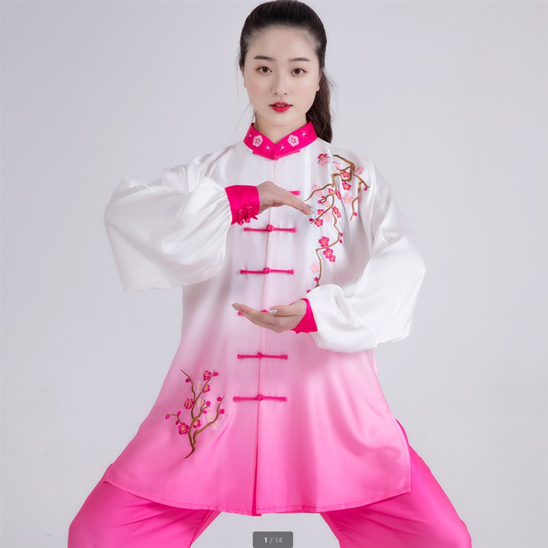 刺繡批紗太極服青花瓷團(tuán)隊(duì)武術(shù)表演練功I晨練演出服中老年太極拳