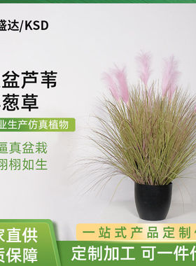 仿真盆栽芦苇草洋葱草纯草盆陶瓷盆盆栽紫色芦苇摆件家居装饰盆景