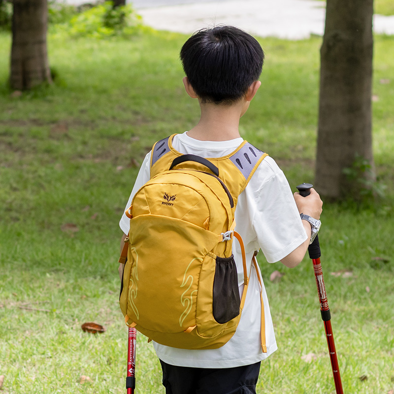 儿童户外登山包男孩外出旅游背包轻便出游爬山轻量化徒步背包20升