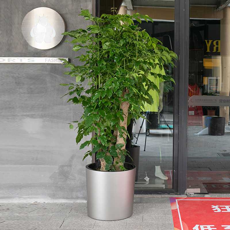 特大花盆圆形大口径别墅客厅落地种树大型盆栽塑料储水自吸水花盆