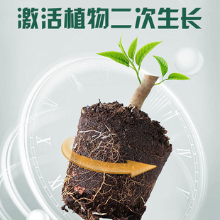 植物快速生根粉多肉土壤水培树苗蔬菜强力通用发根壮苗剂家用肥料