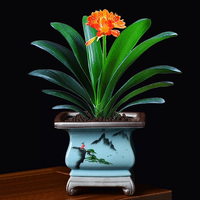 陶瓷哥窑花盆创意中国风手绘国画复古盆器兰花吊兰飘枝四方古典盆