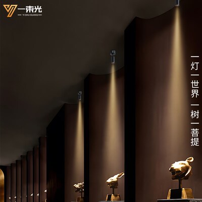 一束光小射灯迷你明装客厅吊顶茶室玄关吧台餐桌led小角度聚光灯