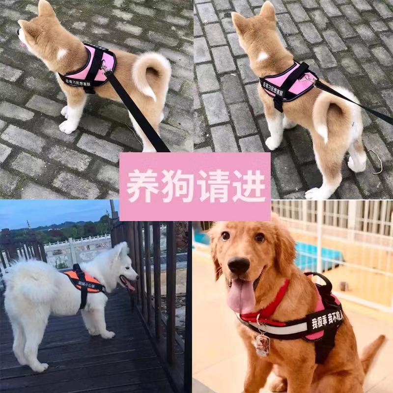 狗狗牵引绳中大型犬背心式狗背带狗绳边牧金毛萨摩耶遛狗绳