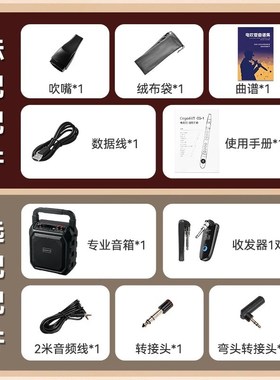 前谷cega电子吹管初学迷你笛子专业演奏级乐器大全初学入门萨克斯