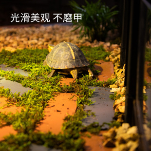 乌龟陶土砖生态造景砖宜兴黄缘龟半水龟饲养箱布景装饰晒背休息台
