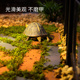 乌龟陶土砖生态造景砖宜兴黄缘龟半水龟饲养箱布景装 饰晒背休息台