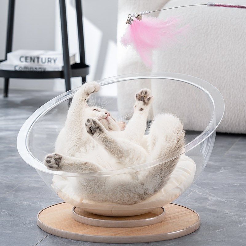 夏天的太空舱猫窝四季通用猫咪摇篮窝转盘猫玩具猫床一体半封闭,宠物/宠物食品及用品,猫窝/屋/帐篷/沙发,淘宝优惠券,粉丝福利购,淘宝优惠卷