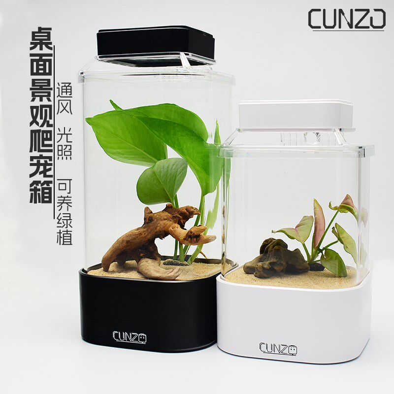 爬虫爬宠玻璃通风款小型饲养盒蜘蛛雨林蝎甲虫造景饲养箱高透观赏