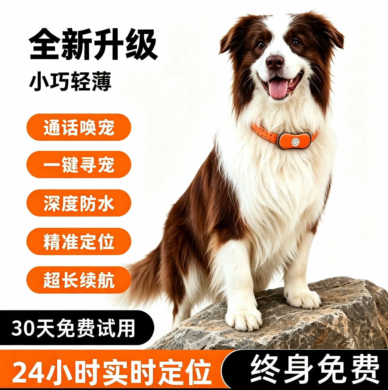 【终身免费】宠物防丢实时定位器