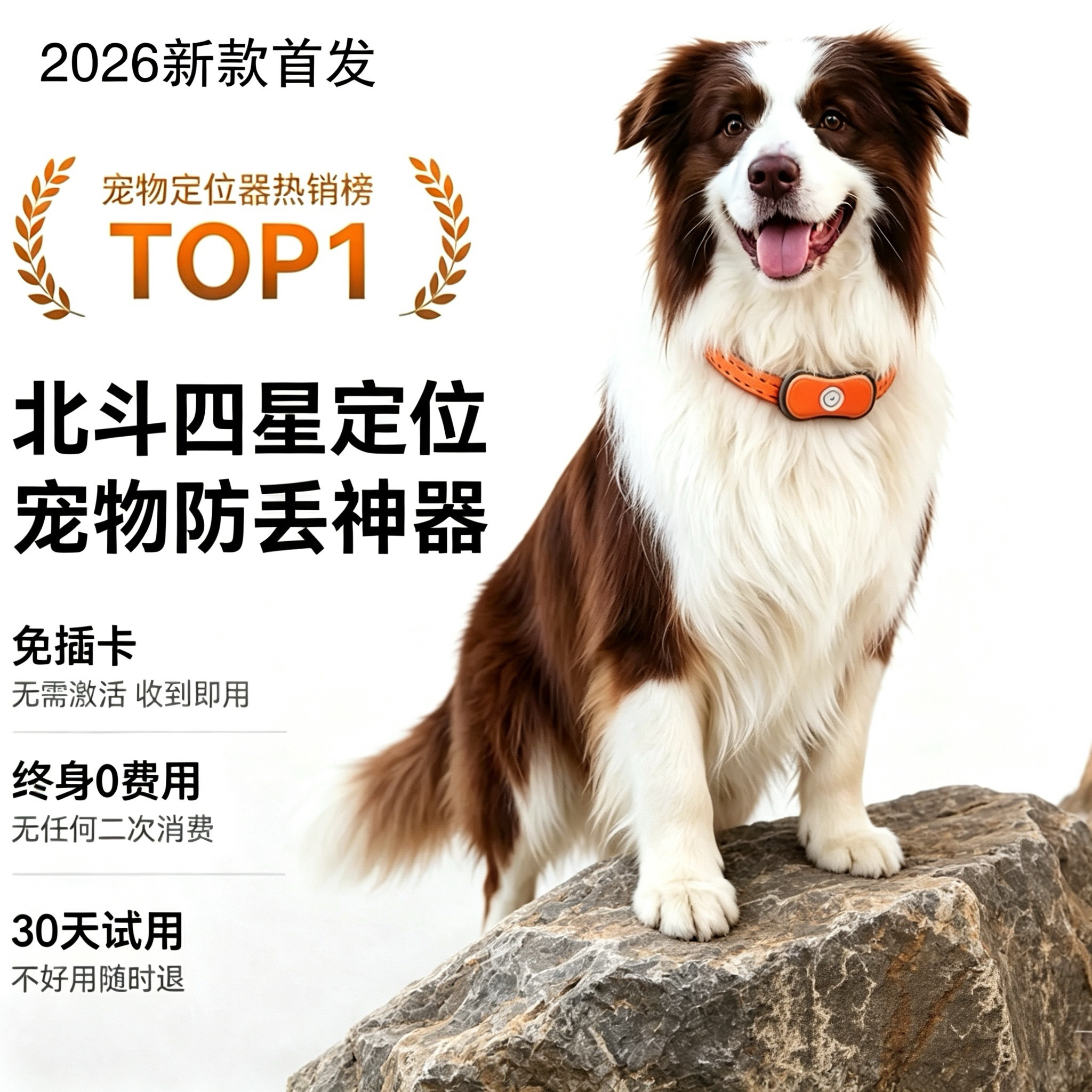 狗狗定位器宠物gps项圈狗防丢失神器追踪猫咪防水跟踪订位定仪器