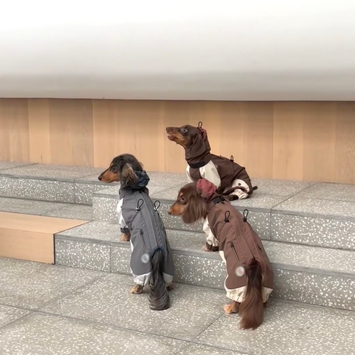 防寒腊肠犬宠物衣服秋冬冲锋衣猫咪比熊约克夏马尔济斯柯基中小型