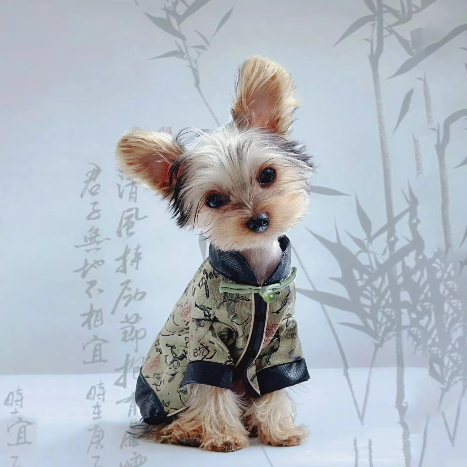 中国风书法狗狗衣服超轻薄个性泰迪比熊博美雪纳瑞小型犬马甲潮流