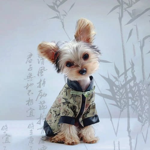 中国风书法狗狗衣服超轻薄个性泰迪比熊博美雪纳瑞小型犬马甲潮流