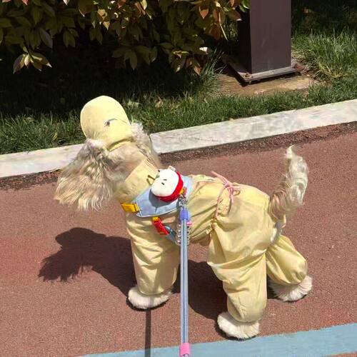 狗狗四脚防尘裤防脏春夏薄款四脚裤比熊泰迪防虫防水防污四脚衣服