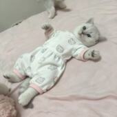 猫咪连体衣四脚可爱保暖睡衣Kitty新款 舒适四脚款 幼犬通用超萌