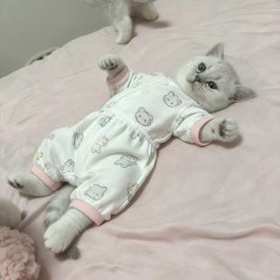 猫咪连体衣四脚可爱保暖睡衣Kitty新款舒适四脚款幼犬通用超萌