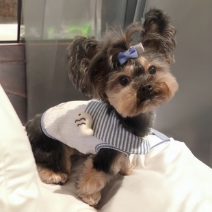狗狗衣服春夏款 卡通背心可爱马尔济斯小型犬小狗衣服 ins居家薄款