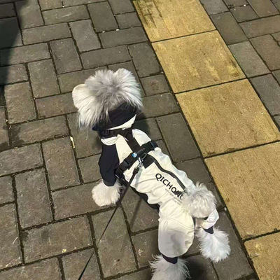 宠物猫咪狗户外比熊西高地春秋单款冲锋衣狗狗冲锋衣薄款马尔济斯