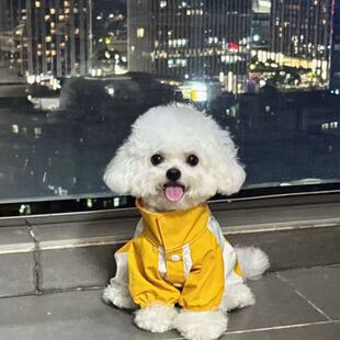 狗狗衣服春秋款 四脚冲锋衣 小型犬泰迪外出防脏中型犬高级感秋季