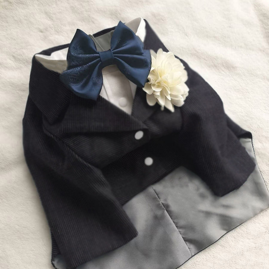 春秋款夏季狗狗猫咪宠物衣服帅气约克夏马尔济斯小型犬夏款西装