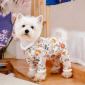 加厚包肚子泰迪比熊四脚裤 全包厚款 狗狗衣服冬季 比熊四脚衣加绒