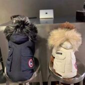 秋冬狗狗衣服防寒保暖可爱雪纳瑞比熊柴犬约克夏马尔济斯毛领棉衣