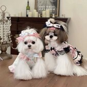 狗狗猫咪宠物衣服公主裙约克秋马尔济斯小型犬秋款 春秋款 秋季 裙