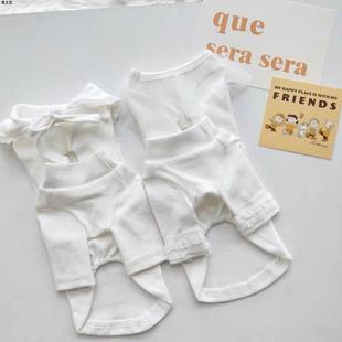 狗狗白色打底衫 小狗宠物衣服小型犬猫咪比熊泰迪洋气便宜可爱网红