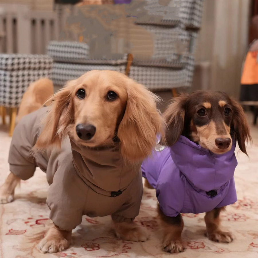 防寒腊肠犬宠物衣服秋冬高领棉服比熊约克夏马尔济斯柯基中小型