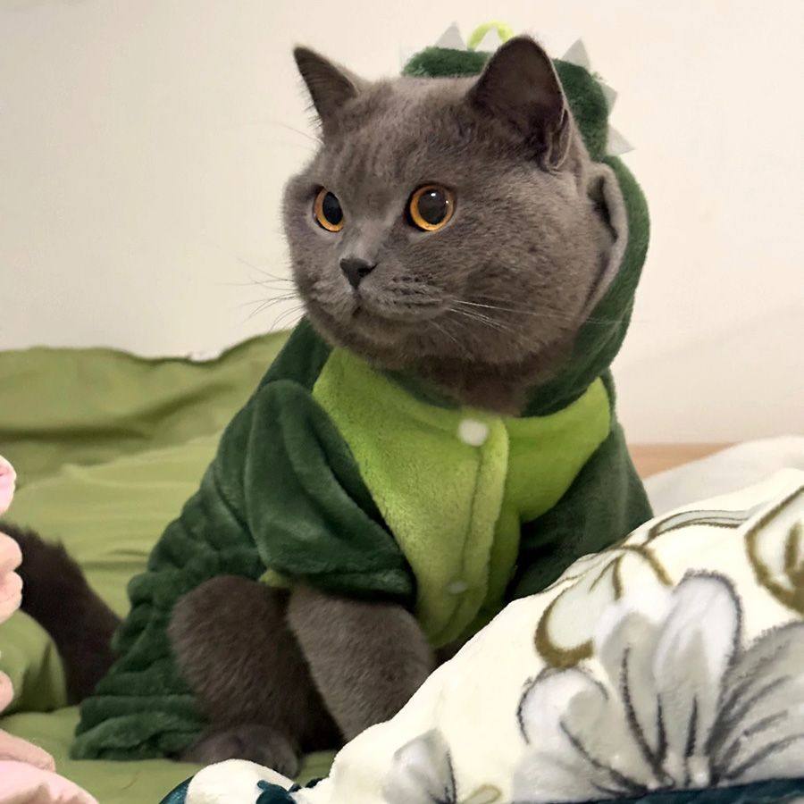 小猫咪衣服冬法兰绒立体恐龙幼猫猫布偶猫蓝猫宠物服装防掉毛冬天,宠物/宠物食品及用品,猫宠物服装/雨衣（新）,淘宝优惠券,粉丝福利购,淘宝优惠卷