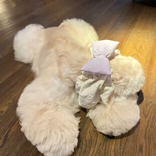 大耳朵狗耳套漏耳朵防脏公主风美卡可卡查理王可卡布吃饭遛狗防脏