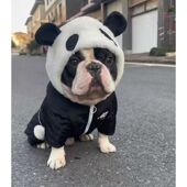 加厚棉衣四脚裤 法斗冬装 巴哥柴犬狗衣服雪纳瑞熊猫搞怪连帽四腿衣