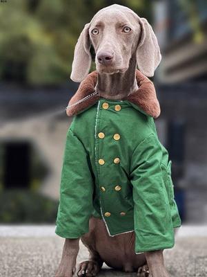 宠物狗大型犬冬季棉袄加厚