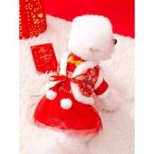 小狗狗衣服泰迪猫咪过年喜庆狗狗衣服秋冬款 宫廷新年唐装 裙子冬季